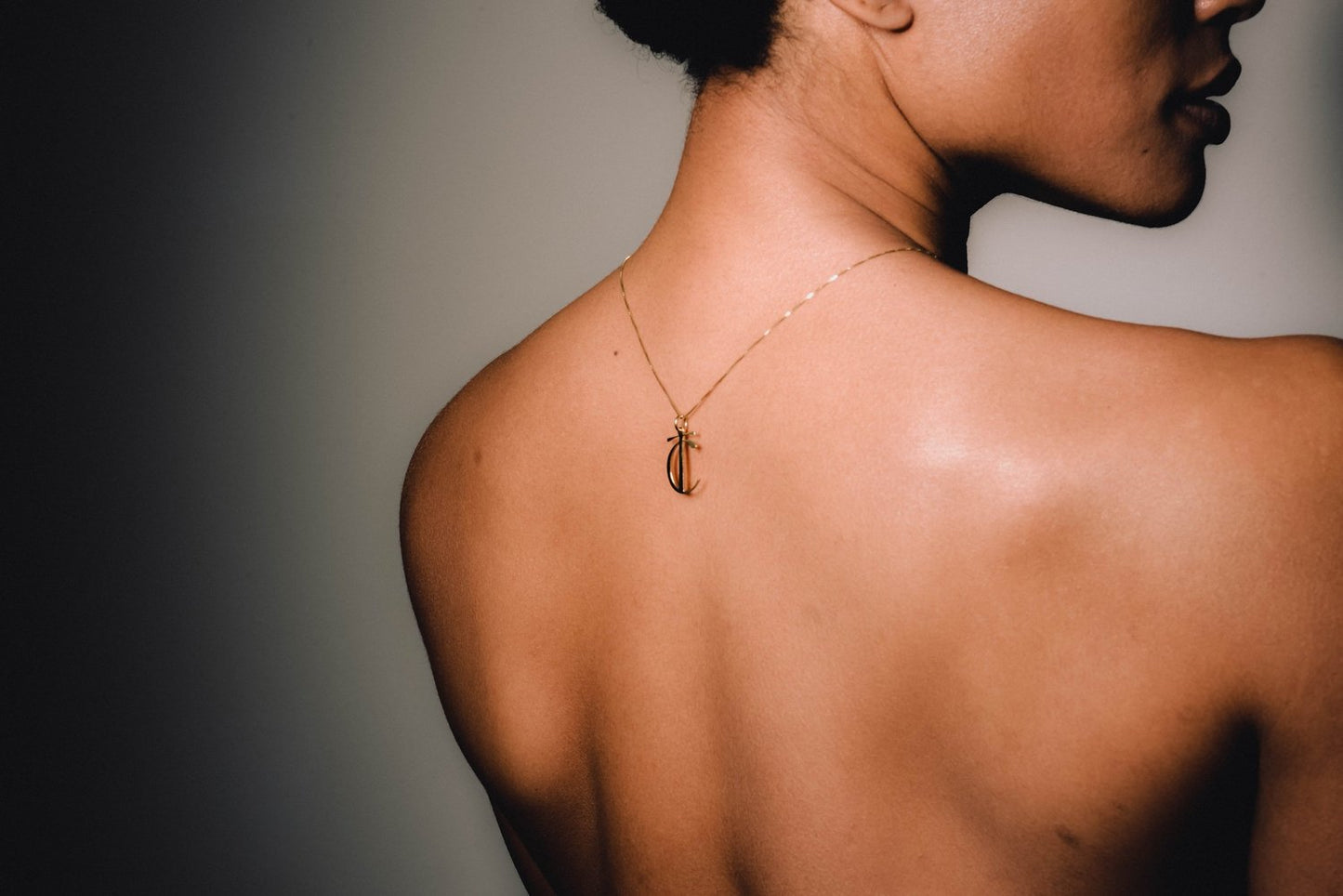 Collar TC